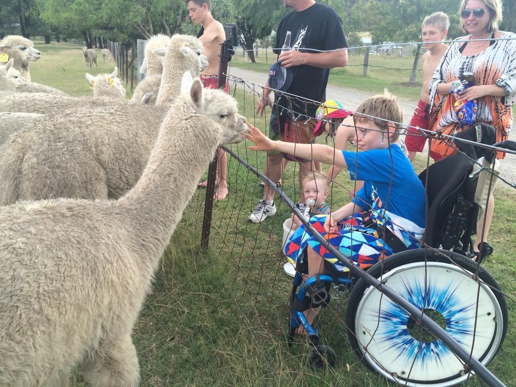 Starline Alpacas Farmstay Resort Broke Exterior photo